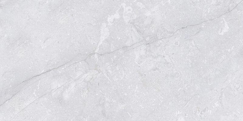 1564 - Image 4