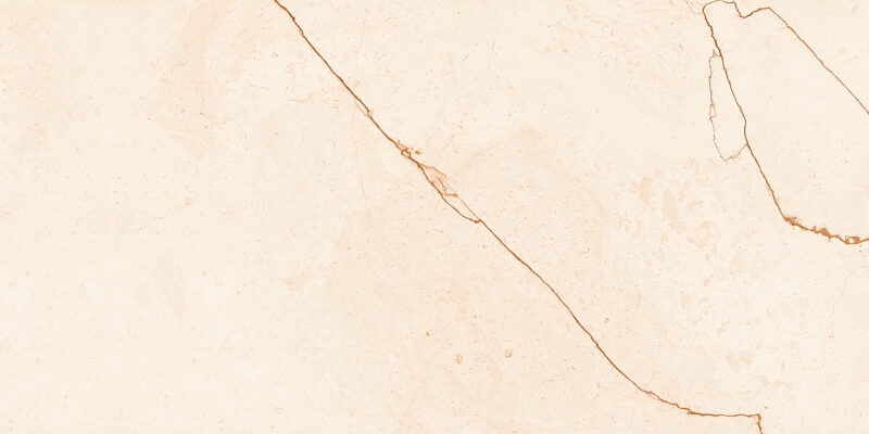 1594 - Image 6