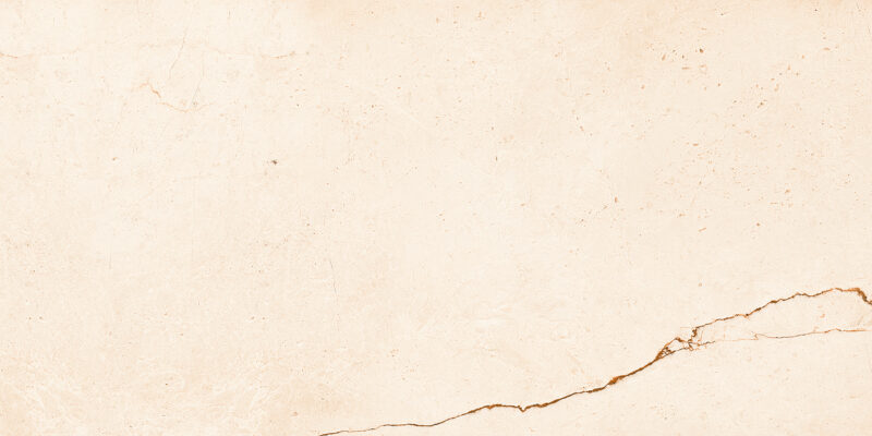 1594 - Image 7