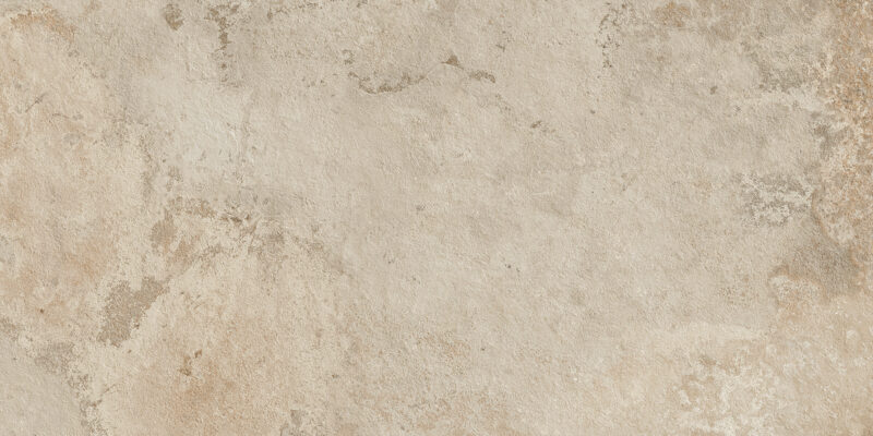 5450 - Image 4
