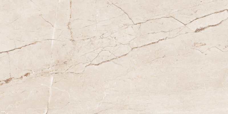 AVARIYO CREMA_R1 - Image 2