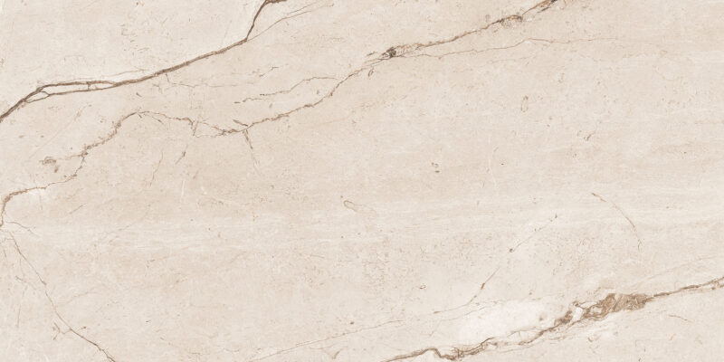 AVARIYO CREMA_R1 - Image 3
