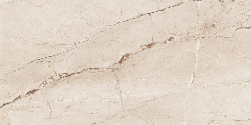 AVARIYO CREMA_R1 - Image 4