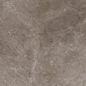 CORDIA ASH