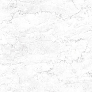 CP_5002_R1 - Copy