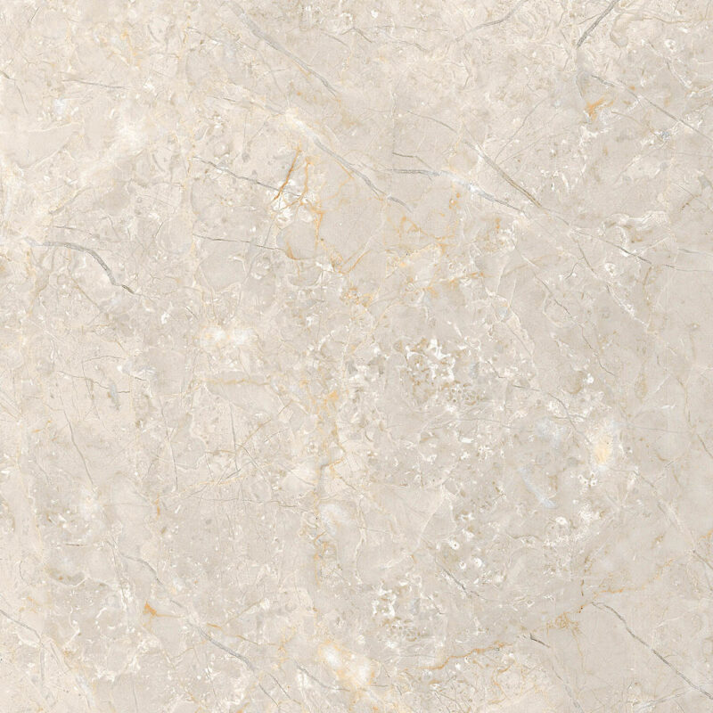 CP_5010 - Copy