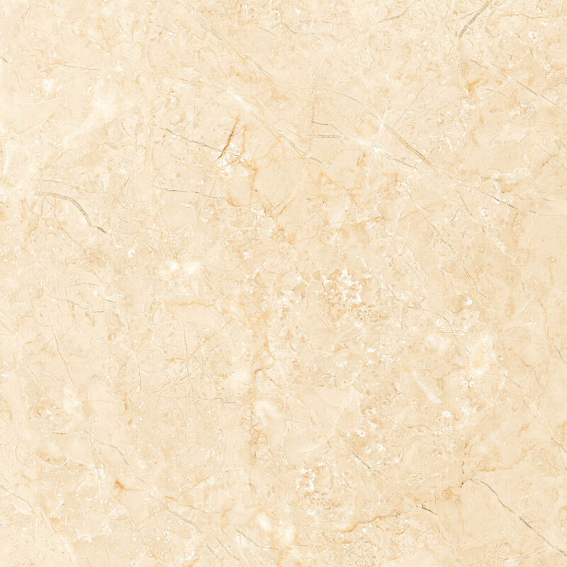 CP_5011