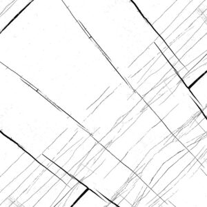 CP_5037(AP_001
