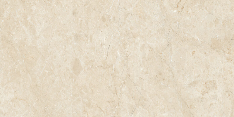 ELEGANCE CREMA_R1 - Image 2