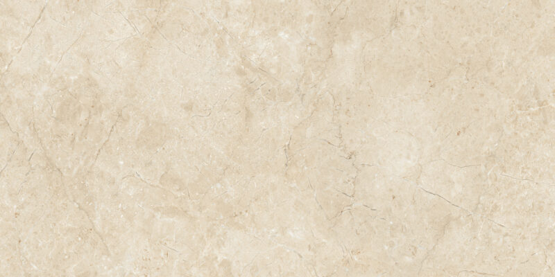 ELEGANCE CREMA_R1 - Image 3