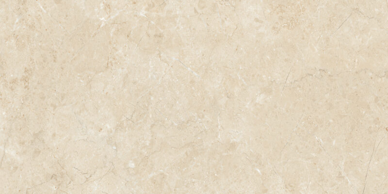 ELEGANCE CREMA_R1 - Image 4