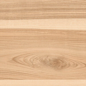 HEMLOCK WOOD_1