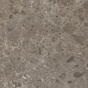 MARVEL APPOLO GREY R1