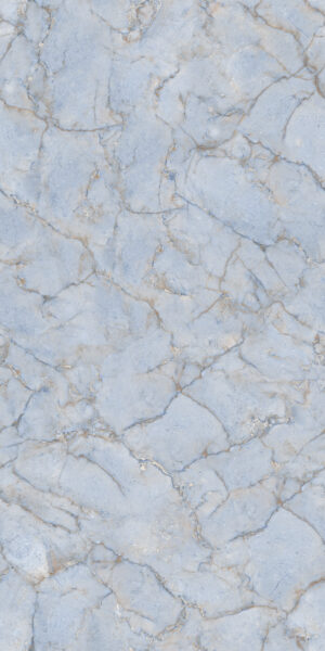 PRMA BLUE-R1