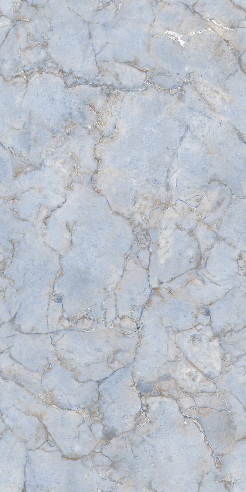 PRMA BLUE-R1 - Image 2