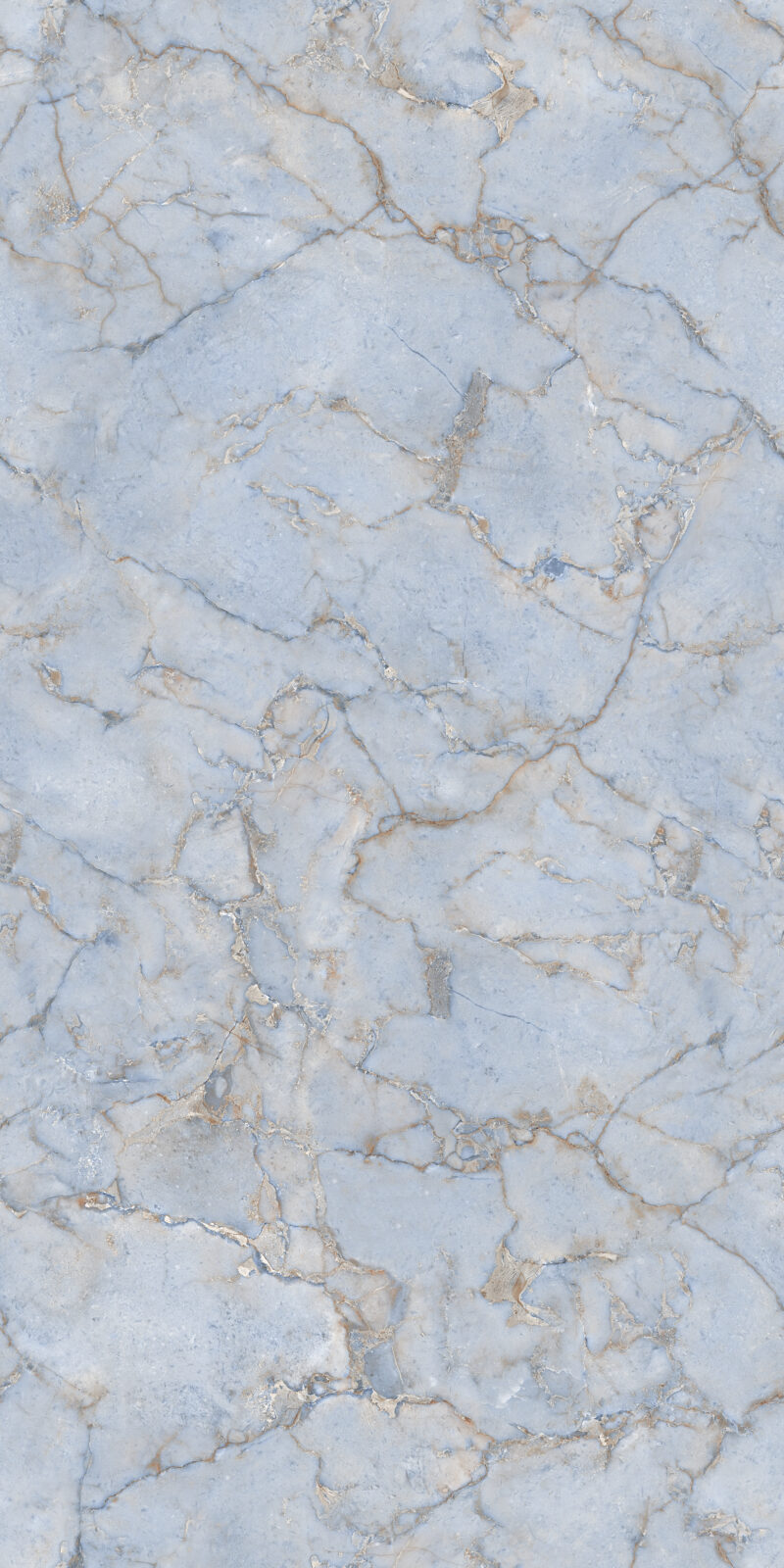PRMA BLUE-R1 - Image 3