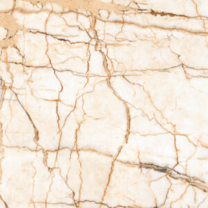 SPIDER CREMA R1
